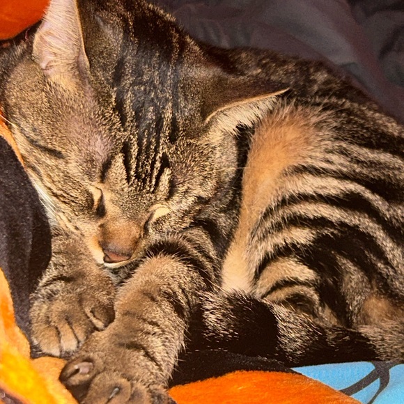 sadie1108